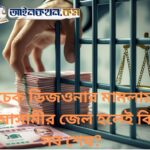 চেক ডিজওনার মামলায় আসামীর জেল হলেই কি সব শেষ?